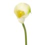 Calla artificiale CHIDORA, crema, 55cm, 5x6cm