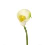 Calla artificiale CHIDORA, crema, 55cm, 5x6cm