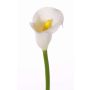 Calla artificiale CHIDORA, bianco, 55cm, 5x6cm