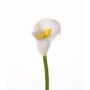 Calla artificiale CHIDORA, bianco, 55cm, 5x6cm