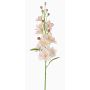 Speronella finta RASMINE, rosa-bianco, 60cm, Ø10cm