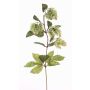 Ramo di luppolo finto AXEL, con fiori, verde chiaro, 75cm, Ø3cm