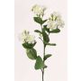 Ramo di gelsomino artificiale SINJA, bianco-verde, 60cm, Ø4cm