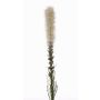 Liatrinae finto MITSA, crema, 80cm, Ø6cm