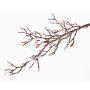 Ramo di magnolia artificiale ANJULI, crema, 105cm