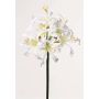 Amaryllis artificiale MONJA, bianco, 70cm, Ø12cm