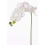 Phalaenopsis artificiale GALINA, crema, 45cm, Ø7-8cm