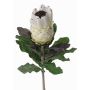 Protea finta NELLI, bianco-giallo, 75cm, Ø8cm