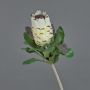 Protea finta NELLI, bianco-giallo, 75cm, Ø8cm