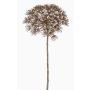 Panace artificiale ANSARI, marrone, 80cm, Ø22cm
