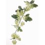 Ramo di bucaneve artificiale SOTRIO, verde, 85cm, Ø3-4cm