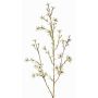 Ramo di hoya finto NIANG, crema, 80cm, Ø1,5-2,5cm
