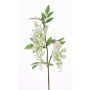 Ramo di glicine sintetico NEZUMI, con fiori, bianco, 105cm