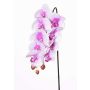 Phalaenopsis artificiale ENISA, rosa-bianco, 60cm, Ø7-8cm
