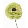 Ranuncolo finto ALIMA, verde, 35cm, Ø8cm