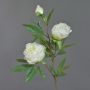 Peonia finta MANJA, bianco, 70cm, Ø8-10cm