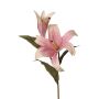 Giglio artificiale JOLANDA, rosa, 75cm, Ø7-20cm