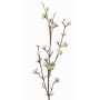 Callicarpa bodinieri finta LARINA, con bacche, crema, 70cm