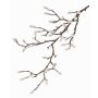 Ramo di magnolia artificiale KOTORI, bianco, grigio, 75cm, Ø0,5-1cm