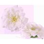 Fiore di rosa finta SASKIA, galleggiante, crema, 5cm, Ø15cm