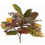 Pianta croton sintetica JOMI, su gambo, colorato, 50cm