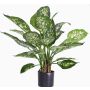 Dieffenbachia artificiale DILLA, verde-bianco, 50cm