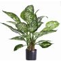 Dieffenbachia artificiale DILLA, verde-bianco, 50cm