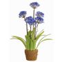 Agapanto finto INJALA con terriccio, blu-lilla, 80cm, Ø11cm