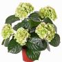 Ortensia artificiale TEMARI, verde, 40cm, Ø10-12cm