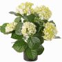Ortensia artificiale TEMARI, crema-verde, 40cm, Ø10-12cm