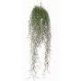 Tillandsia pensile finta LITA, gambo zona trasversale, verde, 75cm