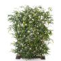 Separé in siepe di bambù finto HIYORI uv resistente, verde, 170cm