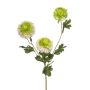 Ramo artificiale di Scabiosa caucasica ANAYS, bianco-verde, 80 cm