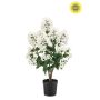 Cespuglio di lillà artificiale TRIGA in vaso decorativo, crossdoor, bianco, 65 cm