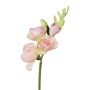 Fiore artificiale Freesia KROFTY, rosa, 50 cm