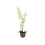 Orchidea Phalaenopsis artificiale KATALIN, vaso decorativo, crema, 80cm