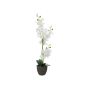 Orchidea Phalaenopsis artificiale KATALIN, vaso decorativo, bianco, 80cm