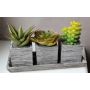 Composizione di succulente artificiali SYLVIA in vaso decorativo, verde, 19x7,5x11cm