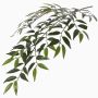 Ramo di smilax artificiale JURIA, verde, 70cm