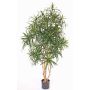 Dracaena reflexa finta PHILOMENA, tronchi veri, verde, 160cm