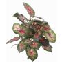 Caladium artificiale SEVERIN su stelo, verde-rosso, 40cm