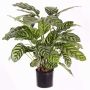 Calathea makoyana artificiale GODE, verde-giallo, 65cm