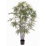 Aralia artificiale CARLIE, tronchi artificiali, verde, 150cm