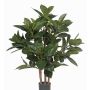 Albero della gomma artificiale KAYDEN, tronchi naturali, verde, 80cm