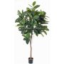 Albero della gomma artificiale AMREI, tronco naturale, verde, 150cm