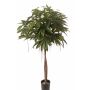 Pachira artificiale CASSY, tronchi naturali, 150cm