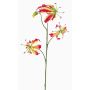 Gloriosa artificiale TIANA, fucsia-verde, 80cm, Ø8-15cm