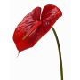 Anturio artificiale MOIRA, rosso, 75cm, 13x18cm