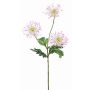 Crisantemo artificiale SOLVIE, bianco-rosa, 70cm, Ø10cm