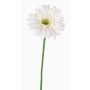 Gerbera artificiale HELLI, crema, 65cm, Ø12cm